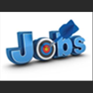 Looking for job 